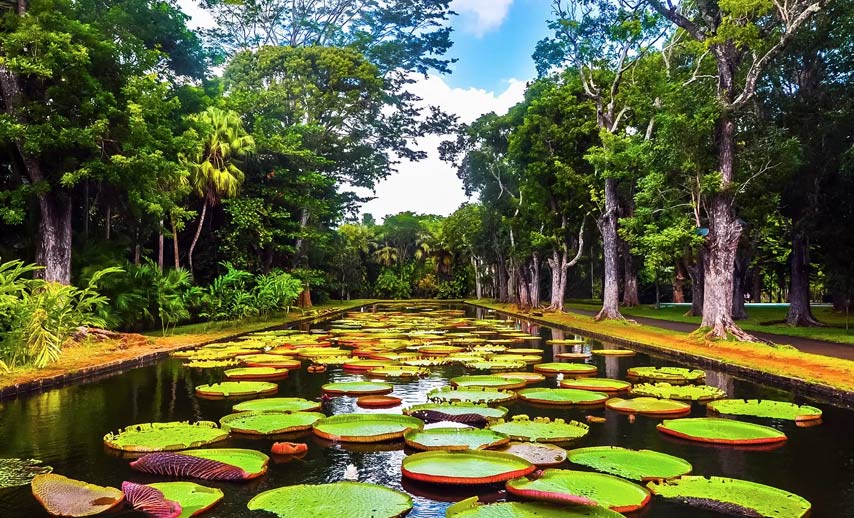 Botanical-Garden