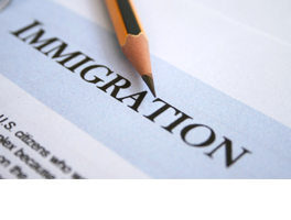 immigration immigration