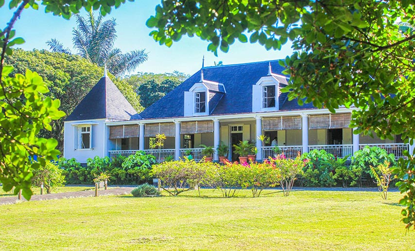 tea-in-mauritius (5)