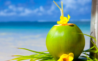 coconut Coconut
